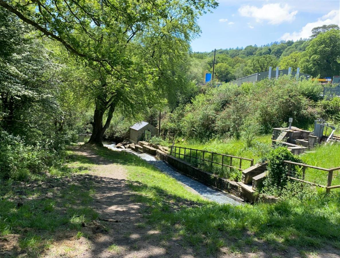 Old Co Op House -Forest Of Dean Bream Luaran gambar