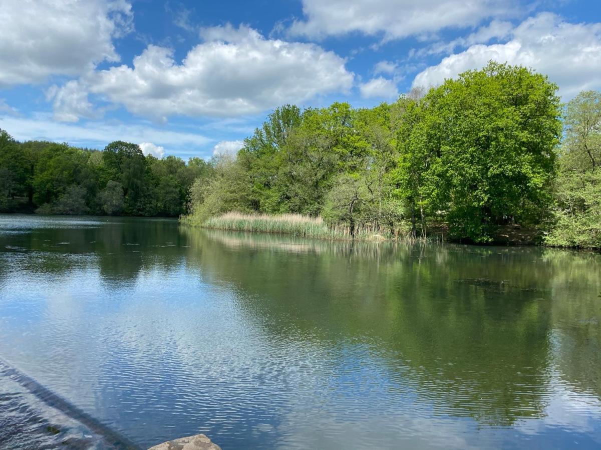 Old Co Op House -Forest Of Dean Bream Luaran gambar